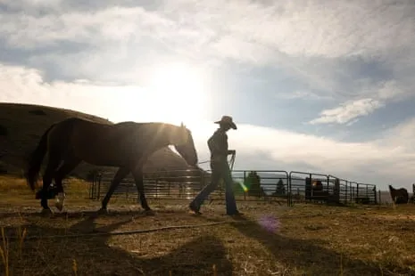 Meet the American Cowgirls Reshaping Modern Farm Life